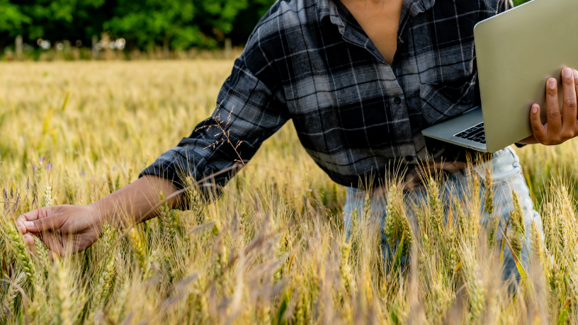 Saiba com Aldo Vendramin como o agronegócio pode impulsionar o desenvolvimento sustentável no combate às mudanças climáticas.