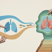 A respiração consciente como ferramenta natural de equilíbrio físico e mental, explicada por Gustavo Luíz Guilherme Pinto.