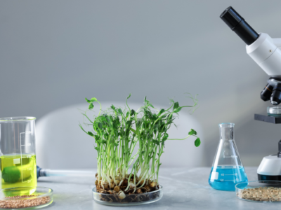 João Eustáquio De Almeida Junior destaca como a pesquisa científica transforma a agricultura e impulsiona o campo.