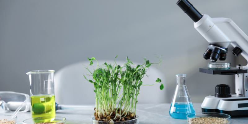 João Eustáquio De Almeida Junior destaca como a pesquisa científica transforma a agricultura e impulsiona o campo.