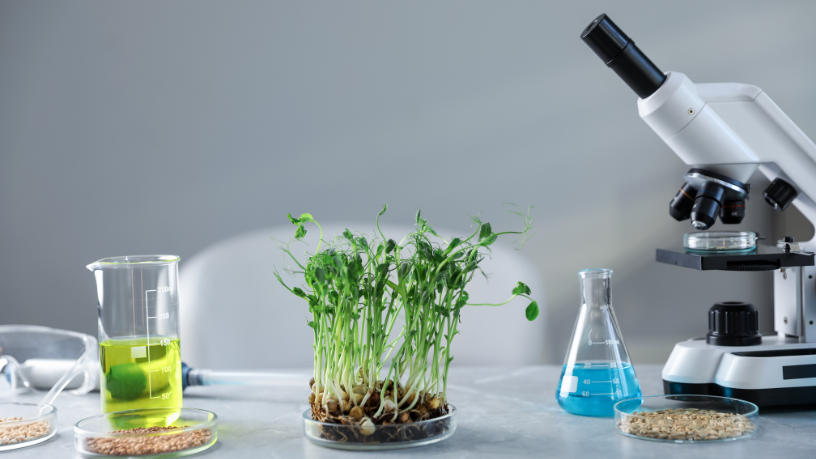 João Eustáquio De Almeida Junior destaca como a pesquisa científica transforma a agricultura e impulsiona o campo.