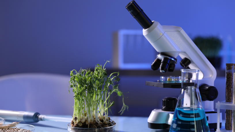 Descubra com João Eustáquio De Almeida Junior o papel da ciência na evolução e inovação agrícola.