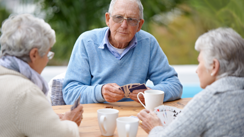 Sindnapi - Sindicato Nacional dos Aposentados, Pensionistas e Idosos